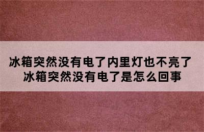 冰箱突然没有电了内里灯也不亮了 冰箱突然没有电了是怎么回事